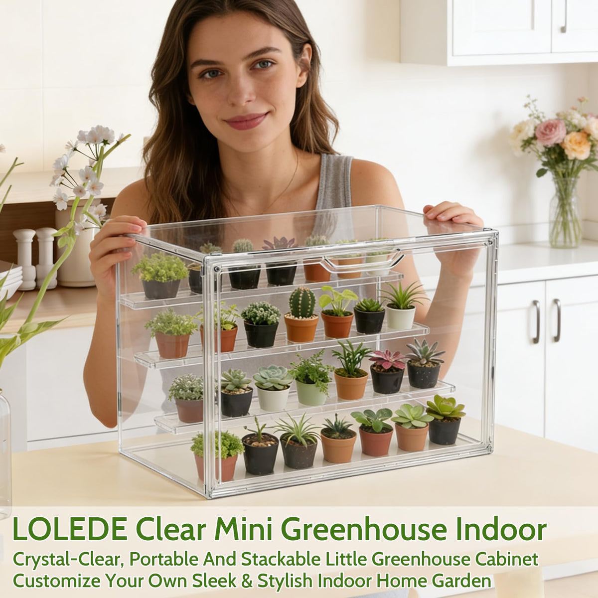 LOLEDE Clear Acrylic Mini Greenhouse Indoor, Small Stackable Tabletop Portable Acrylic Green House with Magnetic Door for Plant Seed Germination, Home Gardening Display,etc. (14.2x8.7x10.6in, 1 Pack)