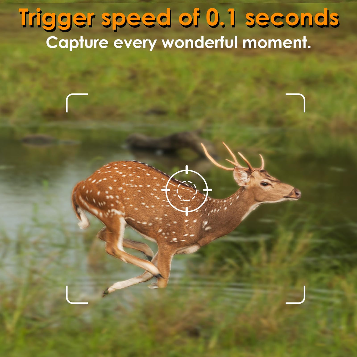 2 Pack Trail & Game Camera, 64MP 1296P Professional Outdoor Cam with 0.1s Trigger Night Vision Motion Activated, IP66 Waterproof 120° Wide Angle for Outdoor Wildlife Monitoring & Yard Security