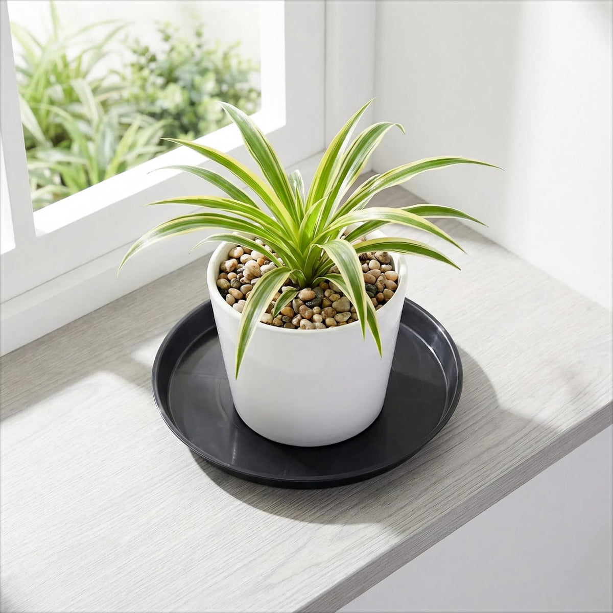 Tulpeed 30 Pack Plant Saucer 8 Inches Plant Trays for Pots Plastic Round Drip Trays Flower Pot Saucers Black Planter Water Tray Plant Drainage Tray, Black