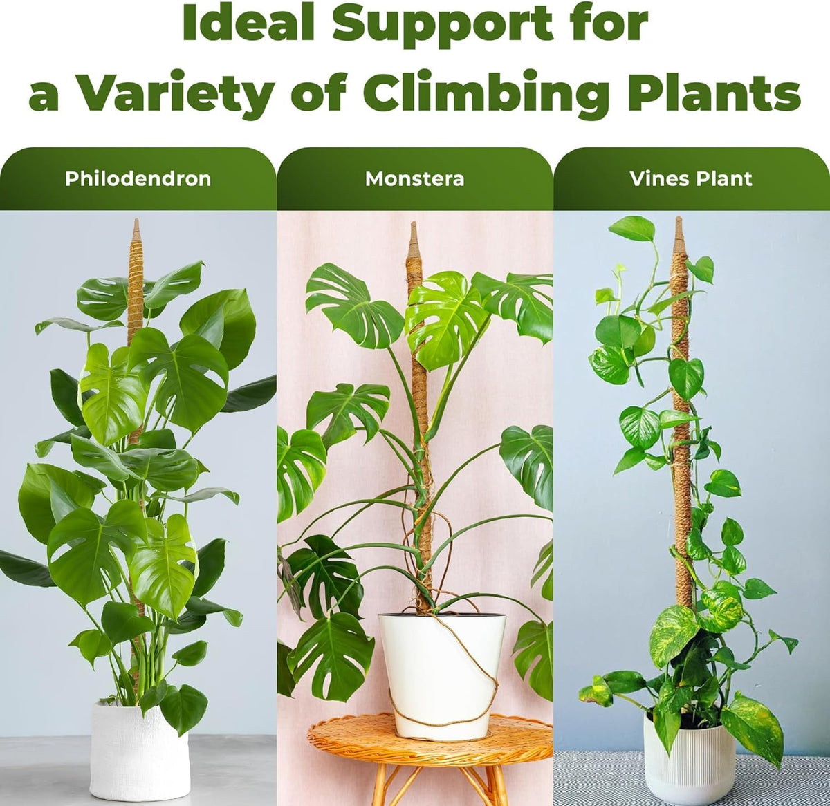 2 Pack 63 Inch Bendable Moss Pole Monstera Plant Support Stakes for Indoor Plants - Tall Moss Stick Trellis for Potted Climbers - Stem Support Accessories for Climbing Houseplants