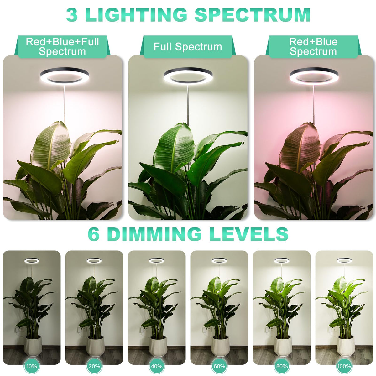LORDEM 10" Full Spectrum Grow Light, 160 LEDs Plant Lamp for Indoor Plants, Grow Lamp with 4/8/12H Auto Timer, 6 Dimmable Levels, 3 Spectrum Modes, 65" Height Adjustable, Ideal for Large Tall Plants