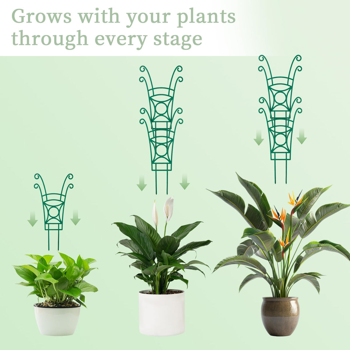 8 Pack Trellis for Potted Plants, Stackable Indoor Plant Trellis for Climbing Plants, Garden Trellis Outdoor for Flower Vine Lvy Hoya Houseplants Plant Support