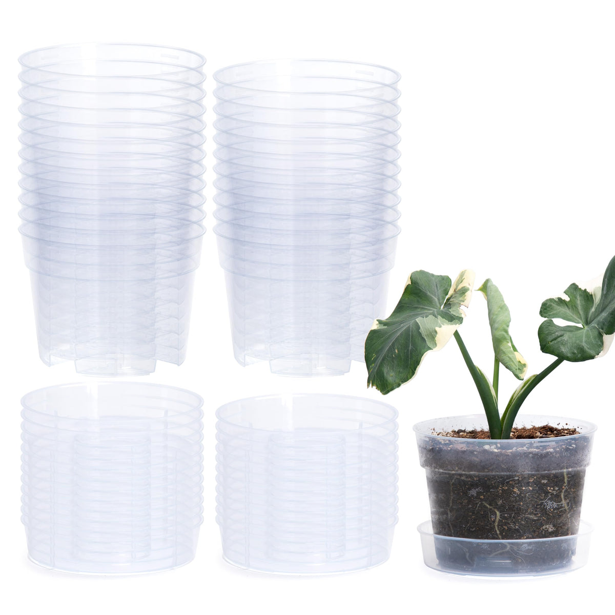6 Inch Clear Plastic Plant Pot with Drainage Holes, Interlocking & Detachable Tray - Deep Saucer - Durable BPA-Free Plastic, Transparent Design, Raised Base for Airflow, Set of 24, 92-X-C-4