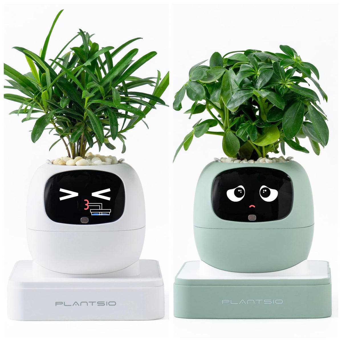 PLANTSIO Gen2 Ivy Intelligent Flower Pot for Home Decoration Plants Companion Neat Desk Setup Gift Smart Pet Planter Robot Guidance on Plant Care with Emojis