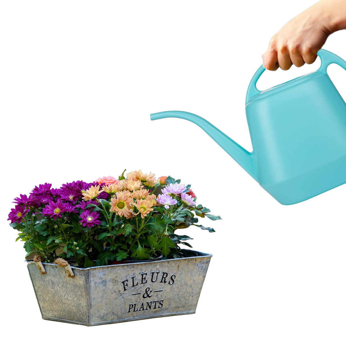 Fasmov Plastic Watering Can, Bright Blue, 1-Gallon