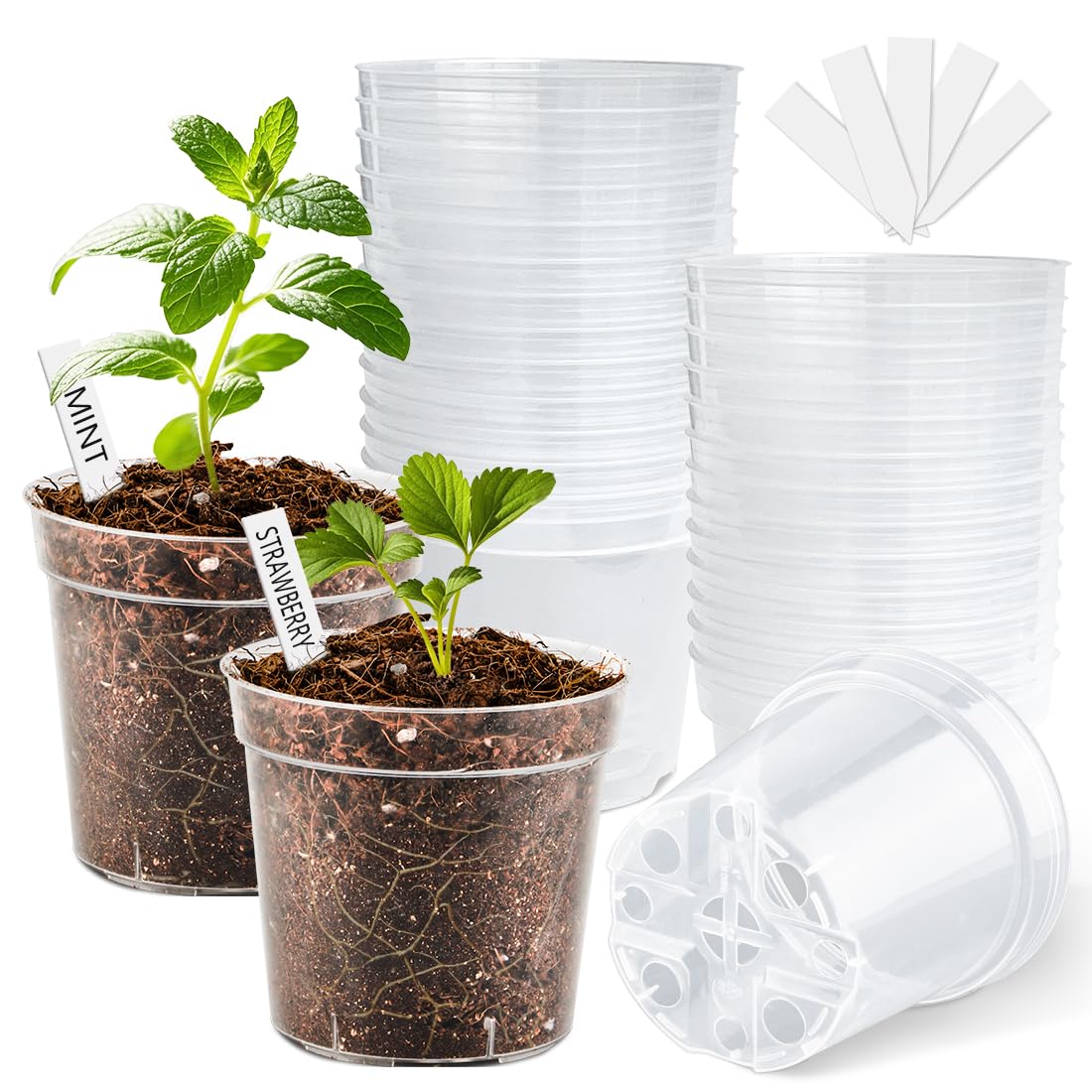 4 Inch Clear Nursery Pots for Plants, Plastic Plant Pot with Drainage Holes, Sturdy Seed Starter Pots, Small Transparent Seedling Pots with Plant Labels and Soil Screens, Gardening Gifts(30 Pack)