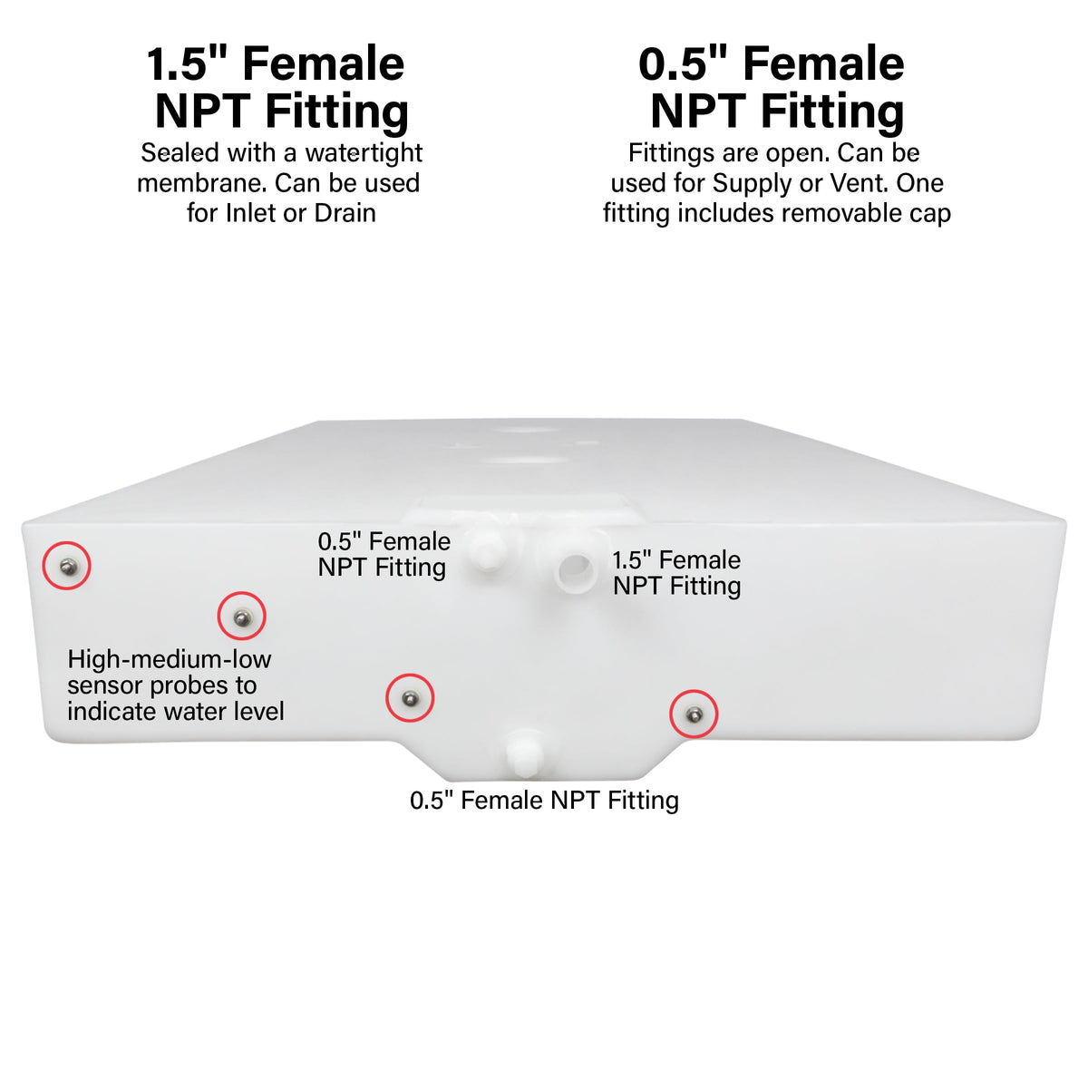 Ameri-Kart 50 Gallon RV Fresh Water Tank, Potable Water Storage Tank for Drinking, Cooking, Cleaning, Showering, for Campers, Trailers, Motorhomes, RVs, Low-Profile Shape, 57" x 31" x 9" (WT-1468)