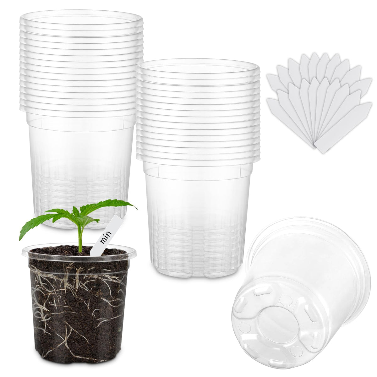 WandaQueen 30 Packs 3.5 Inch Reinforced Clear Nursery Pots for Plants with Drainage Holes, High Transparency Planting Plastic Seedling Pots, Seedling Planter Seed Starter with 20 Plant Labels