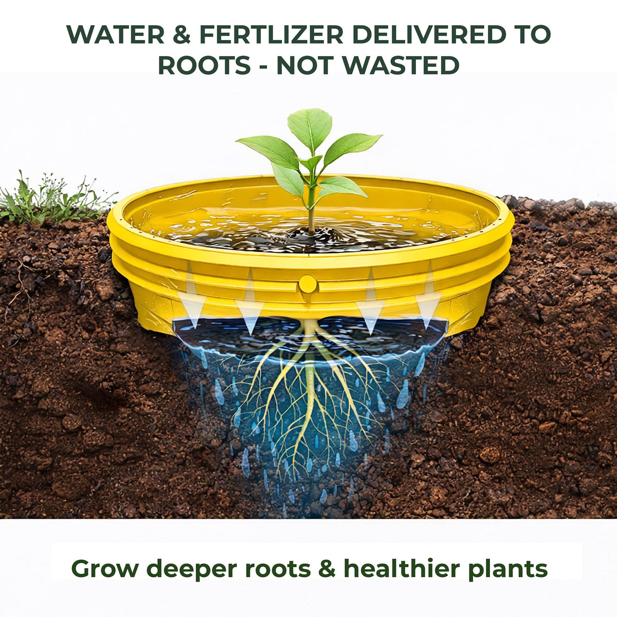 7 inch Solid Planting Grow Rings | 6 Pack Yellow | One-Piece Design for Deep Root Watering Veggies, Herbs & Flowers | Mulch & Soil Barrier | Deter Slugs and Cutworms | Heavy Duty | Made in USA