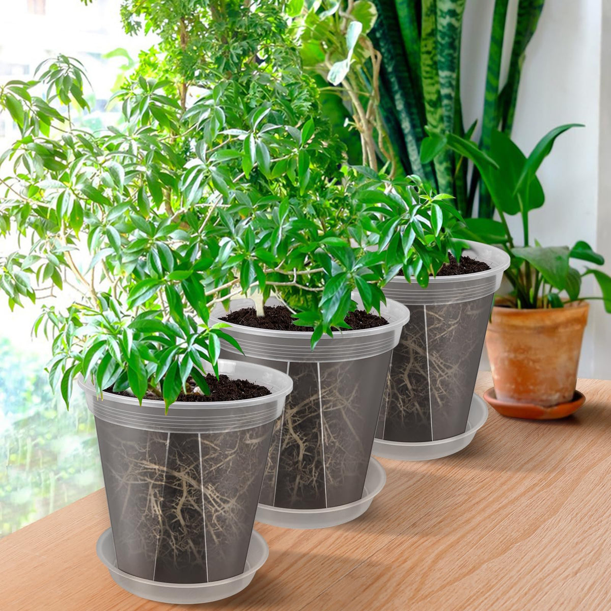 GREENPARA 8-inch Transparent Plastic Garden Pots Planter with Saucer Plant Pot Nursery Pots Drainage Hole for House Plants, Herb, Flowers, and Cactus with Plant Labels, 3-Set