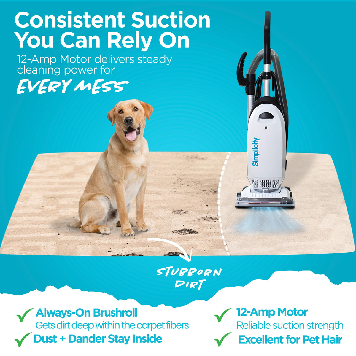 Simplicity Vacuums Allergy Bagged Vacuum Cleaners for Home, Carpet, Rugs, and Hardwood, Multi Surface Upright Vacuum Cleaner with Certified HEPA Vacuum, Pet Vacuum, S20EZM