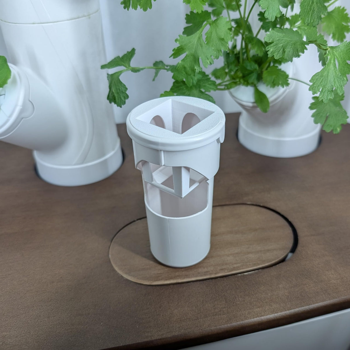Grow Cubes for Hydroponic System/Compatible with Gardyn (20 Grow Cubes)