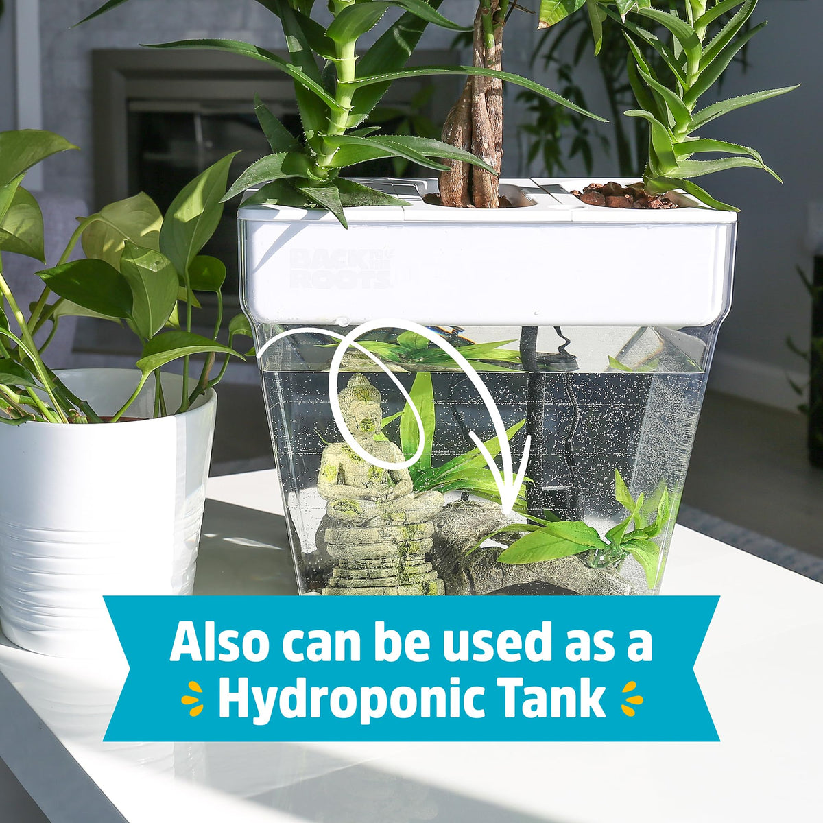 Back to the Roots Indoor Aquaponic Garden - 3 Gallon Self Watering, Mess-Free Planter and Self-Cleaning Fishtank for Herbs, Microgreens, Bamboo, Succulents, and Houseplants, support Fish