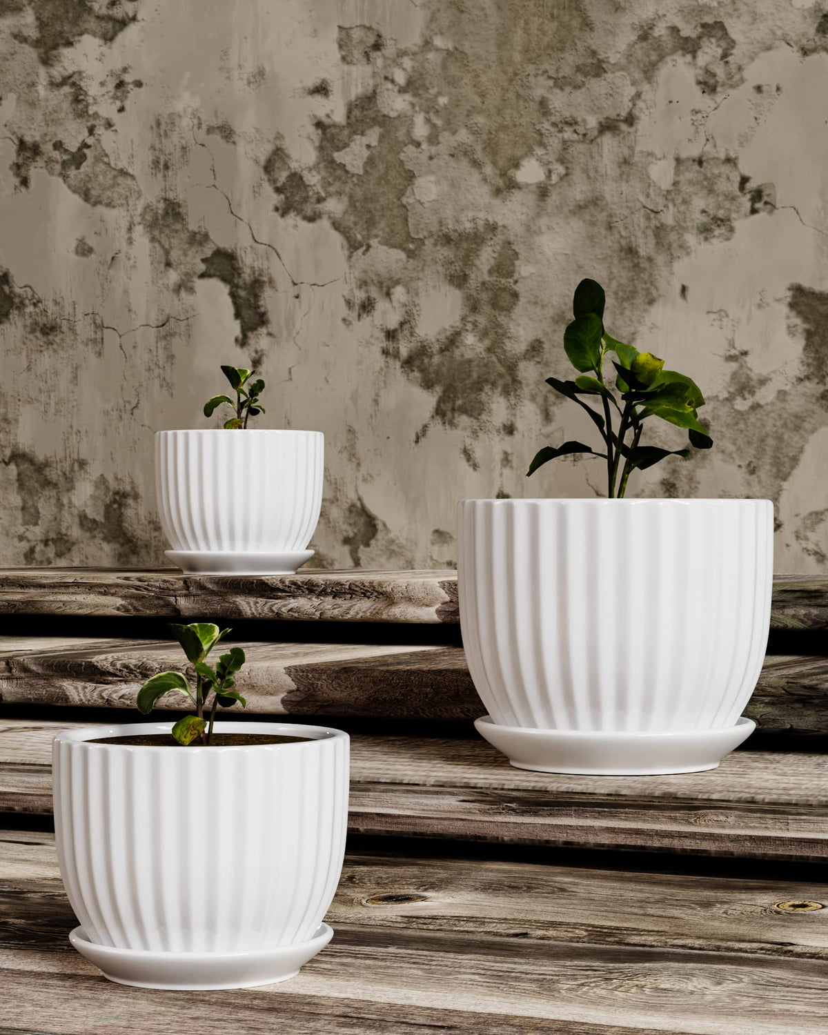 Ton Sin White Plant Pots Set of 3,Indoor Ceramic Flower Pot with Saucers,6.7"&5.5"&3.9" Inch Small to Medium Sized Planters for Plants,Round Modern Garden Pots