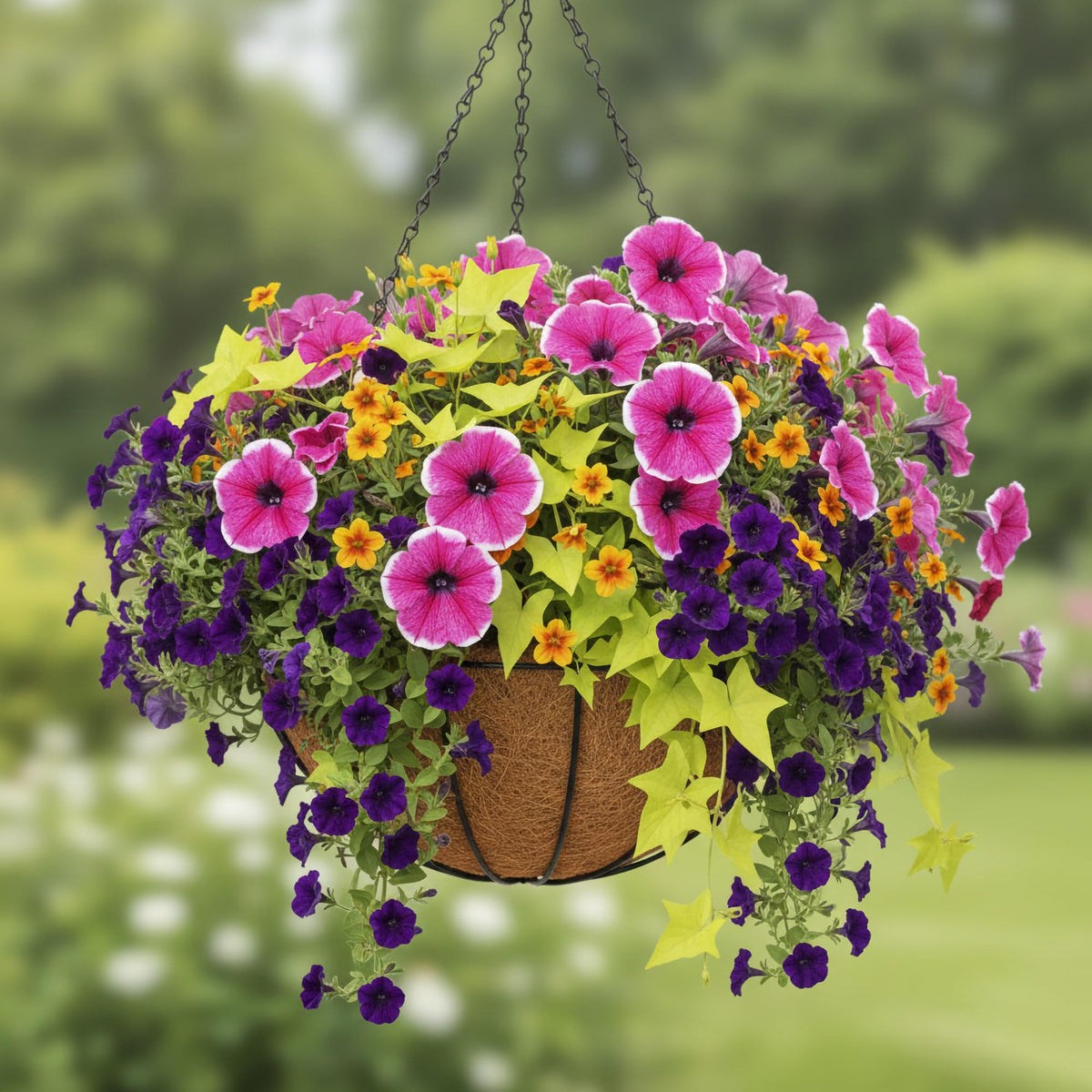 GYATSOCYG 4 Pack 12 Inch Brown Outdoor Metal Hanging Planter Basket Hanging Planters Flower Pot Round Modern Flower Holder Pot Garden Accessory（Watermelon Style）