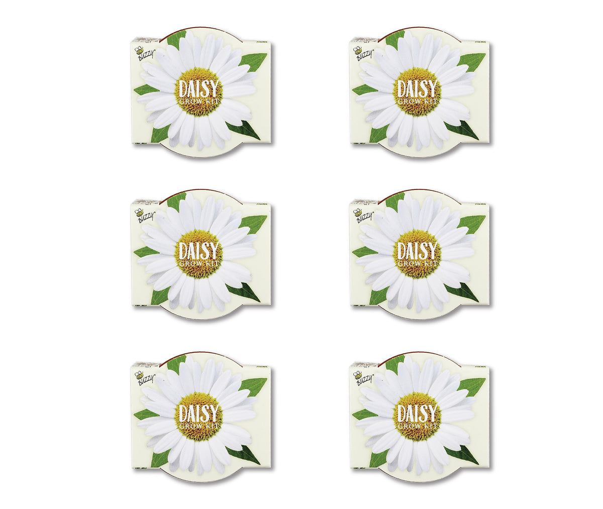 BUZZY Seeds Daisy Daydream Collection Mini Terracotta Grow Pots 6-Pack, All-in-One Starter Kit with Seed Packs and Growing Medium, Wedding Favors, Gardening Gifts, Garden Parties