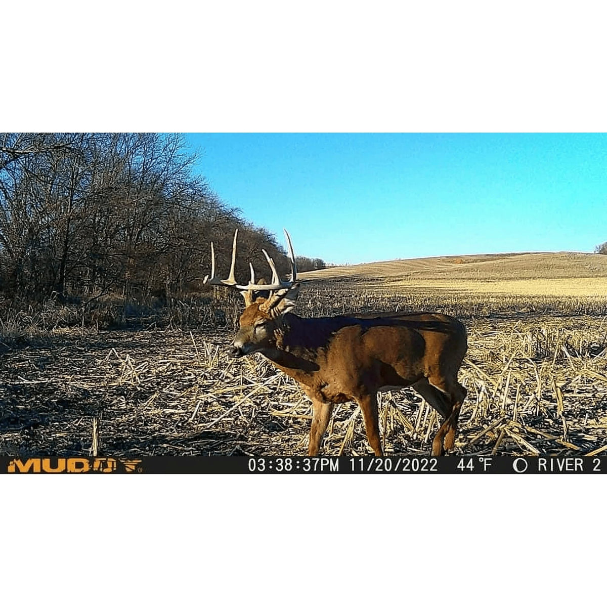 Muddy Mitigator On Demand Cellular Trail Camera – 20MP Wireless Hunting Camera