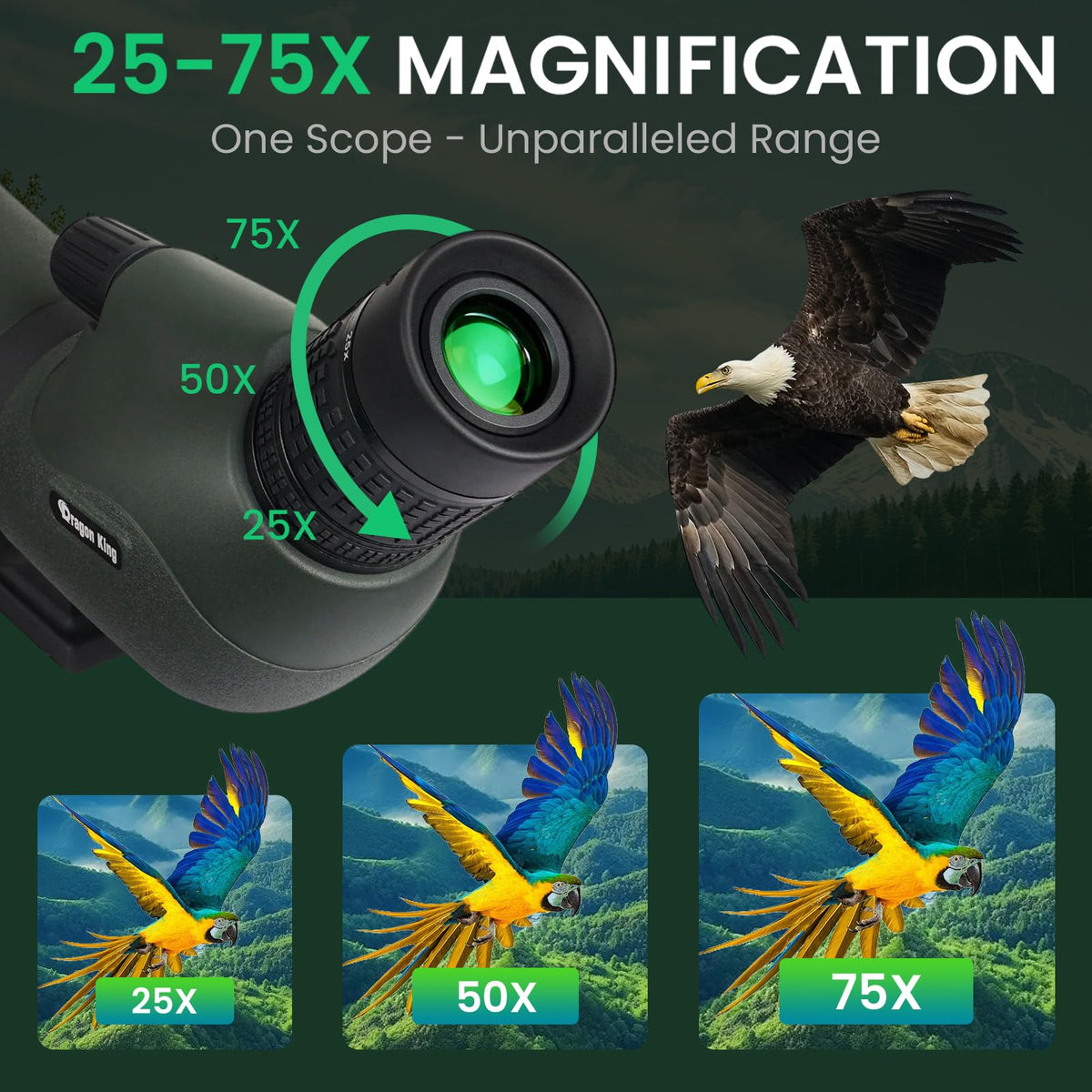 BIBIRE 25-75x80 HD Spotting Scopes, Angled Spotter Scope with Tripod and Phone Adapter Spotting Scope for Bird Watching Wildlife Wiewing