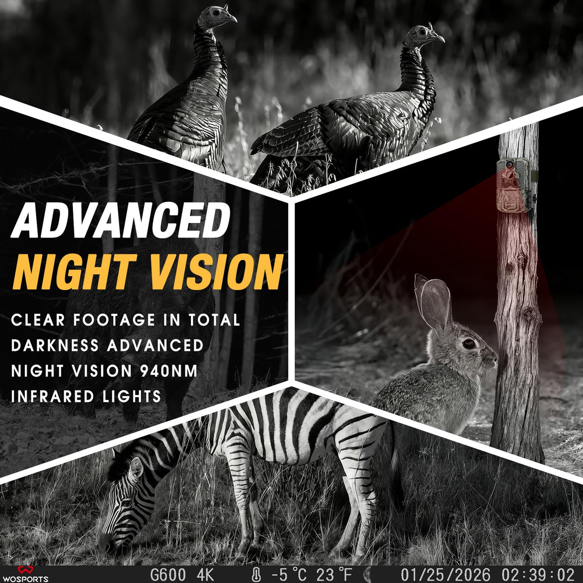 WOSPORTS Rechargeable Trail Camera 2Pack 56MP 4K Game Cam 0.2s Trigger No Glow Night Vision Motion Activated 120° Wide Lens 2.0” LCD Wildlife Camera Outdoor Scouting