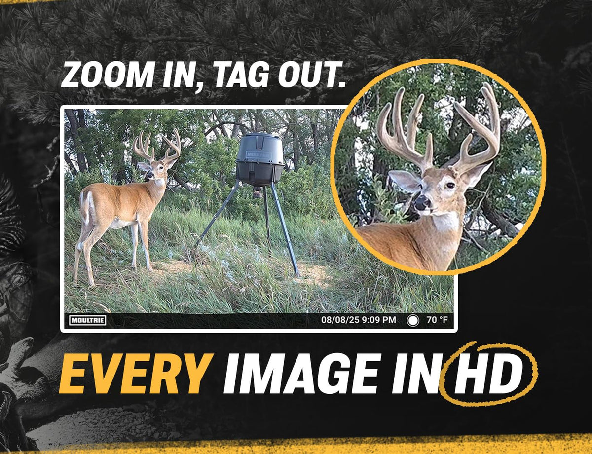 Moultrie Edge Solar Cellular Trail Camera - Integrated Solar Panel with Battery - 40MP - 1080p Video - Night Vision - Multi-Carrier LTE Auto-Connect - Built-in Memory - 0.4s Trigger Speed