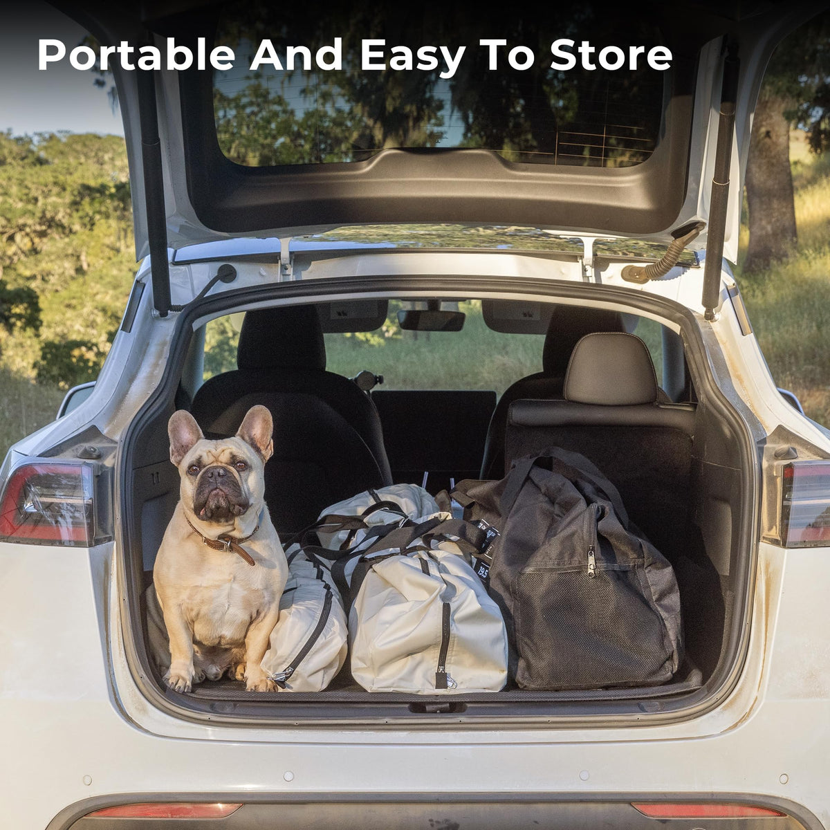 Space Acacia Camping Tent, 2-3 Person Pop Up Tent for Camping with 6'10'' Height, 1 Door, 8 Windows, Waterproof Easy Setup Instant Hub Tent with Removable Rainfly, Footprint for Car Camping, Glamping