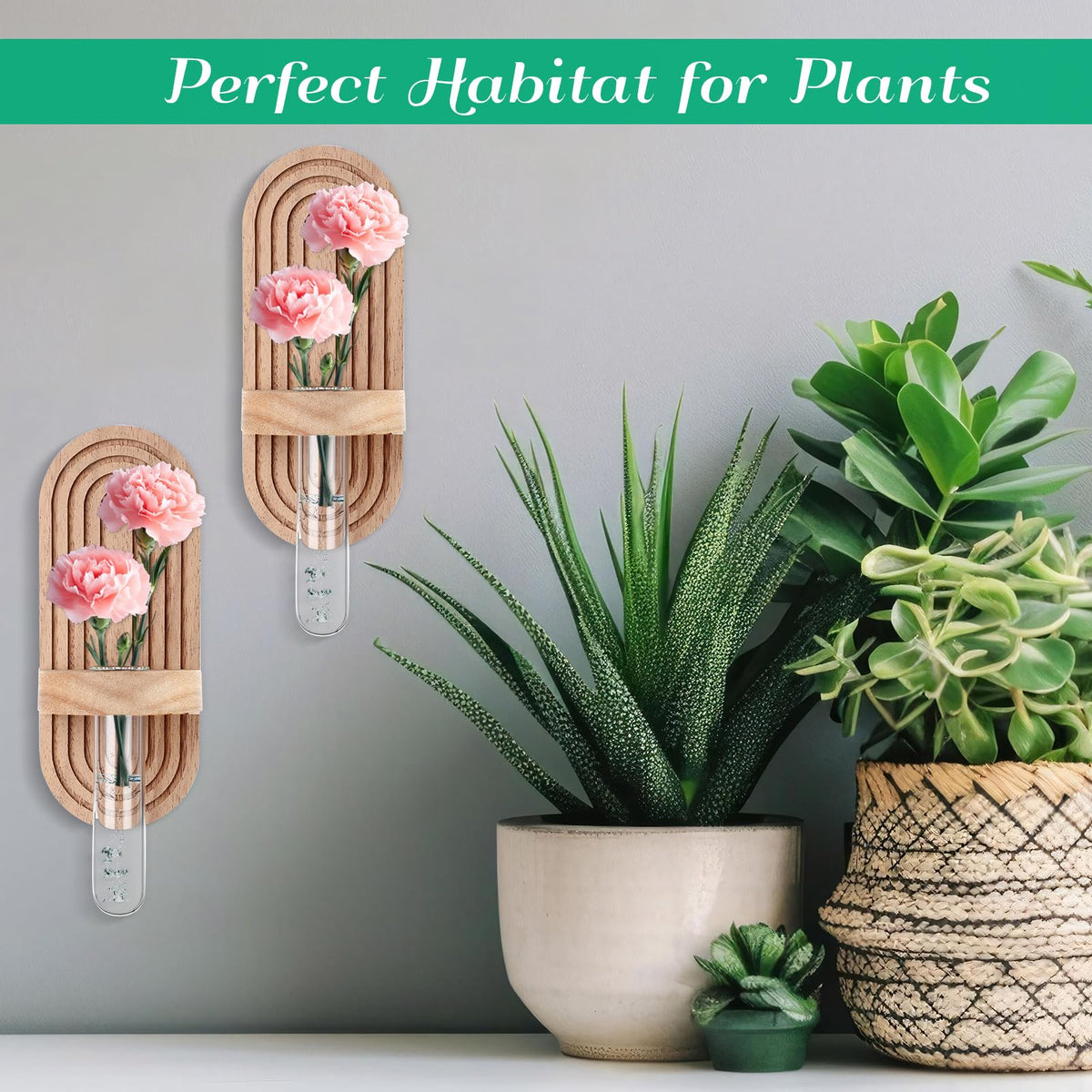 Beeveer 4 Sets Hanging Plant Propagation Stations Walnut Wood Wall Mounted Test Tube Vase Rustic Decorative Glass Planter Holder Gift for Women Plant Lover Hydroponic Flowers Home and Office Decor