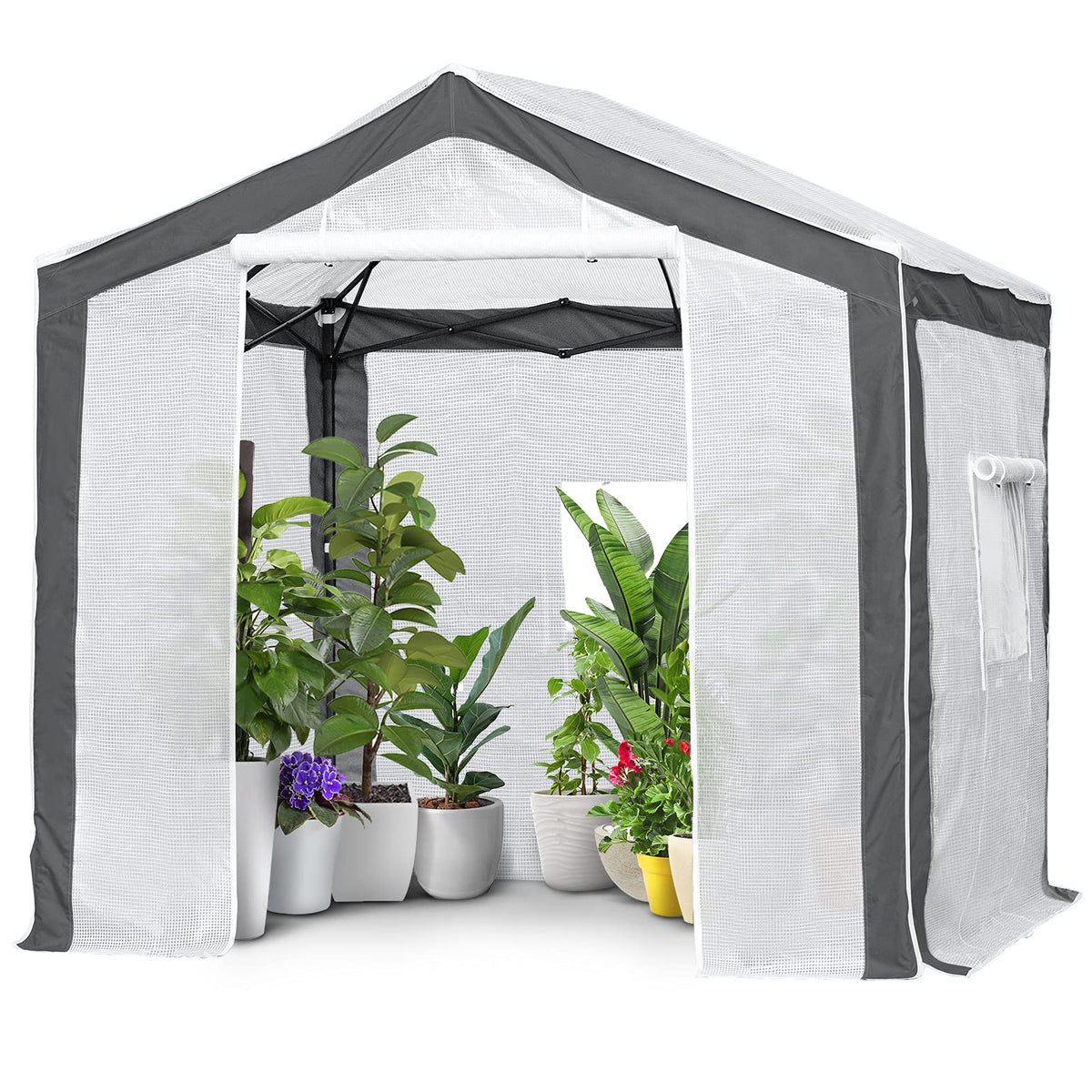 EAGLE PEAK 8x8 Portable Walk in Greenhouse with Polyester Reinforced Corners, Heavy Duty Instant Pop Up Indoor Outdoor Green House, Front Roll Up Zipper Entry Door and Mesh Windows, Gray/White