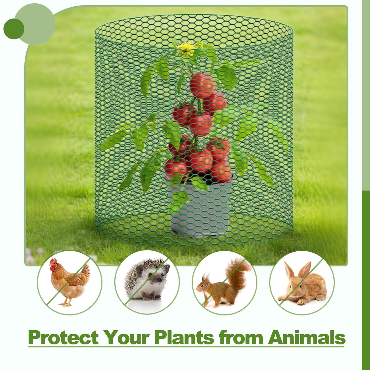 All-in-One 200 Inch Plant Protectors from Animals Kit - 0.85mm Heavy Duty Chicken Wire Cloche,Free-Cut Wire Mesh Roll Includes Pliers, Gloves, Ties, Stakes for Custom Outdoor Cages (16 * 200 Inch)