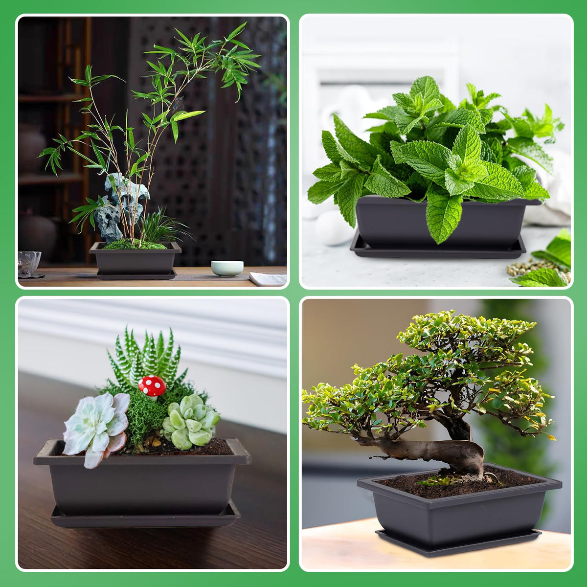 PAMASE 8 Packs Bonsai Training Pot with Humidity Tray - 6.5in & 9in Training Nursery Pots Kit, Plastic Plants Growing Planter with Drainage Tray, Indoor Succulents Decor Garden