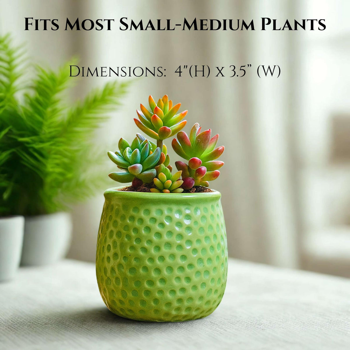 CERAMIQA 4 Inch Ceramic Succulent Planter Pot with Drainage Hole, Small Indoor Plant Pot, Mini Round Flower Pot for Cactus, Herbs & Houseplants, Modern Decorative Planter for Garden (Lime Green)