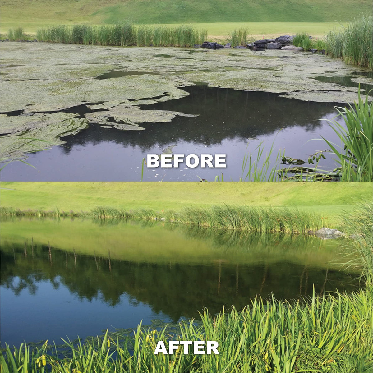 Kasco Macro Zyme Time Release Block Beneficial Bacteria Pack of 2 | Muck Remover for Ponds & Lakes | Non-Chemical Lake & Pond Treatment for Eliminating Sludge & Odors | Treats Up to 6 acre-feet 12 lb.