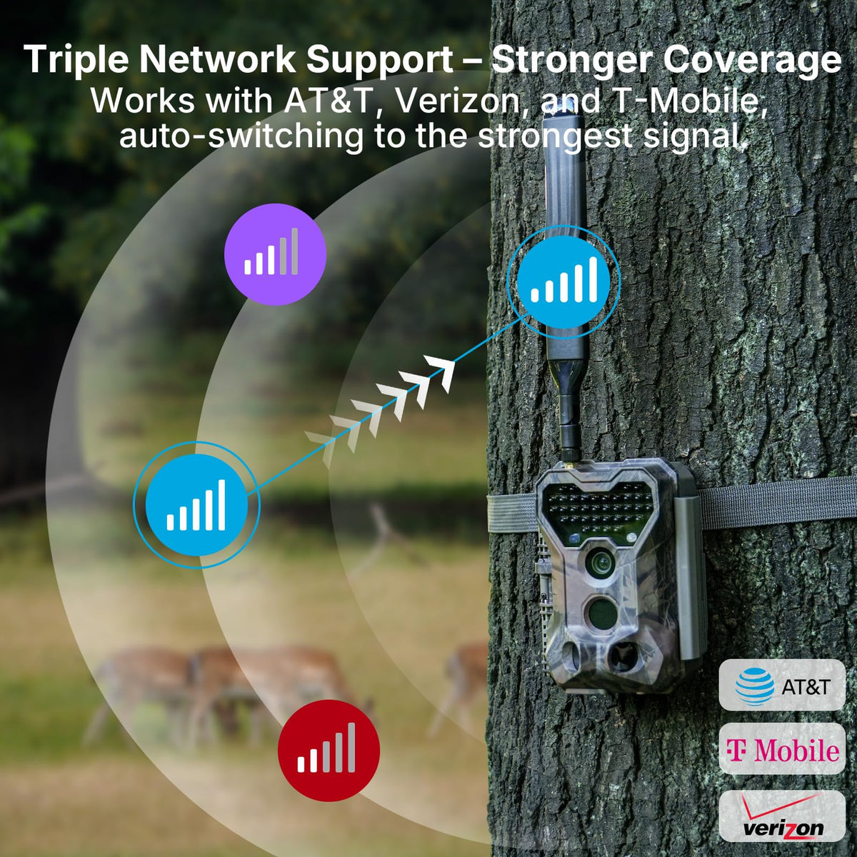 Meidase Solar Cellular Trail Camera S965 Pro (Non-WiFi), Live View, GPS Tracking, Multi-Camera Sharing, 7800mAh Rechargeable Battery, 10W Solar Panel, Motion Activated