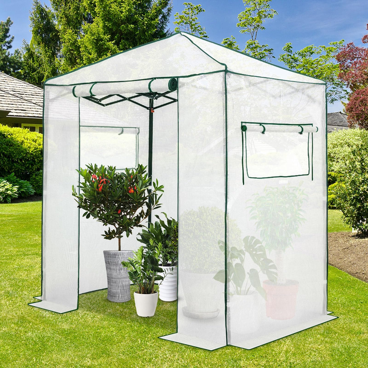 EAGLE PEAK 6x4 Portable Walk in Greenhouse, Pop Up Indoor Outdoor Greenhouse, Green House Kit with Zippered Roll-Up Doors and Windows, PE Cover, Clear/White