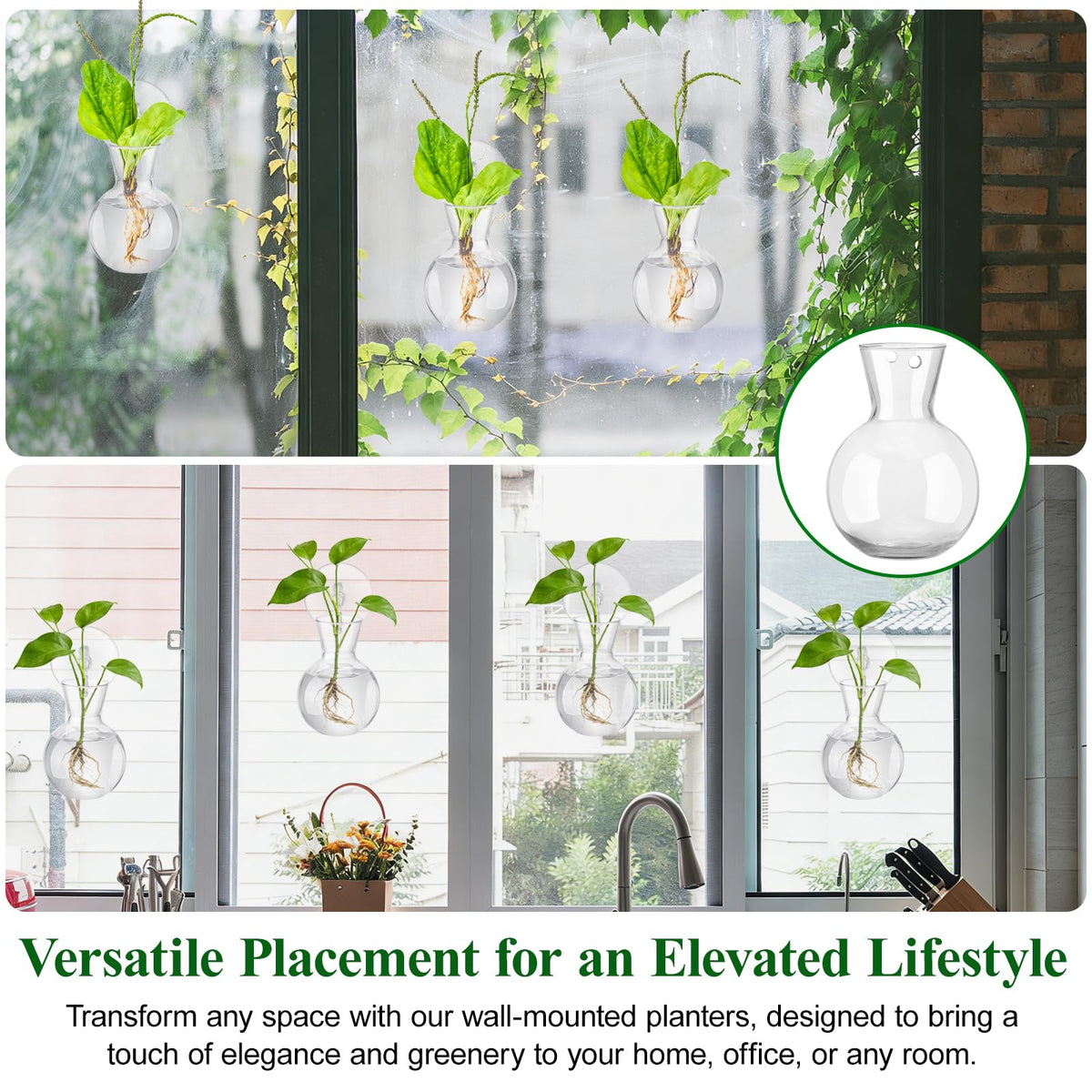 Doodlream 12PCS Wall Hanging Propagation Stations, Glass Planting Vases with Suction Cups and Cleaning Brush, Window Hanging Hydroponic Plant Terrariums for Pothos Ivy Herbs, Indoor Home Garden Decor