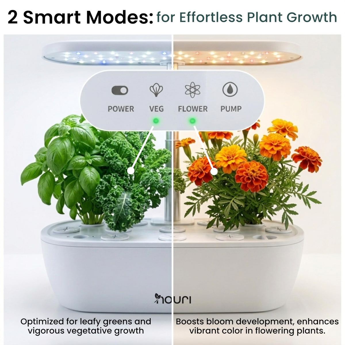 Nouri Hydroponics Growing System, 12 pod APP Smart Indoor Herb Garden Kit with LED Grow Lights, Hydroponic Herb Garden Indoor for Plant Lovers, Gardeners, Kitchen, Basil Seeds Included
