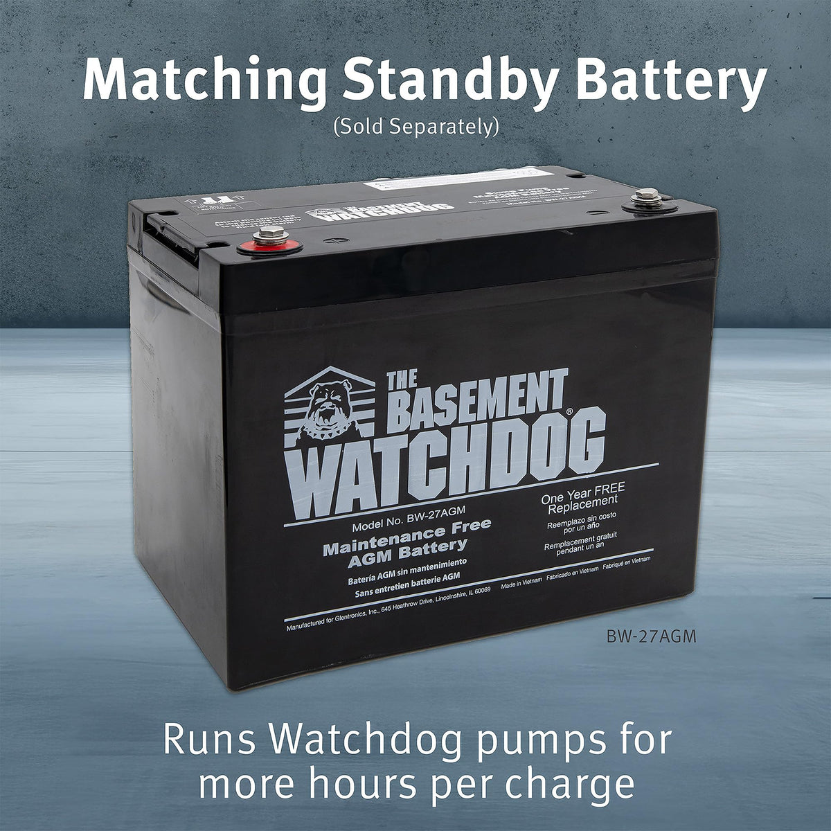 The Basement Watchdog Combo Preassembled Primary & Battery Backup Sump Pump System w/Monitoring Controller (CITE-33); Copper-Wound PSC Motor