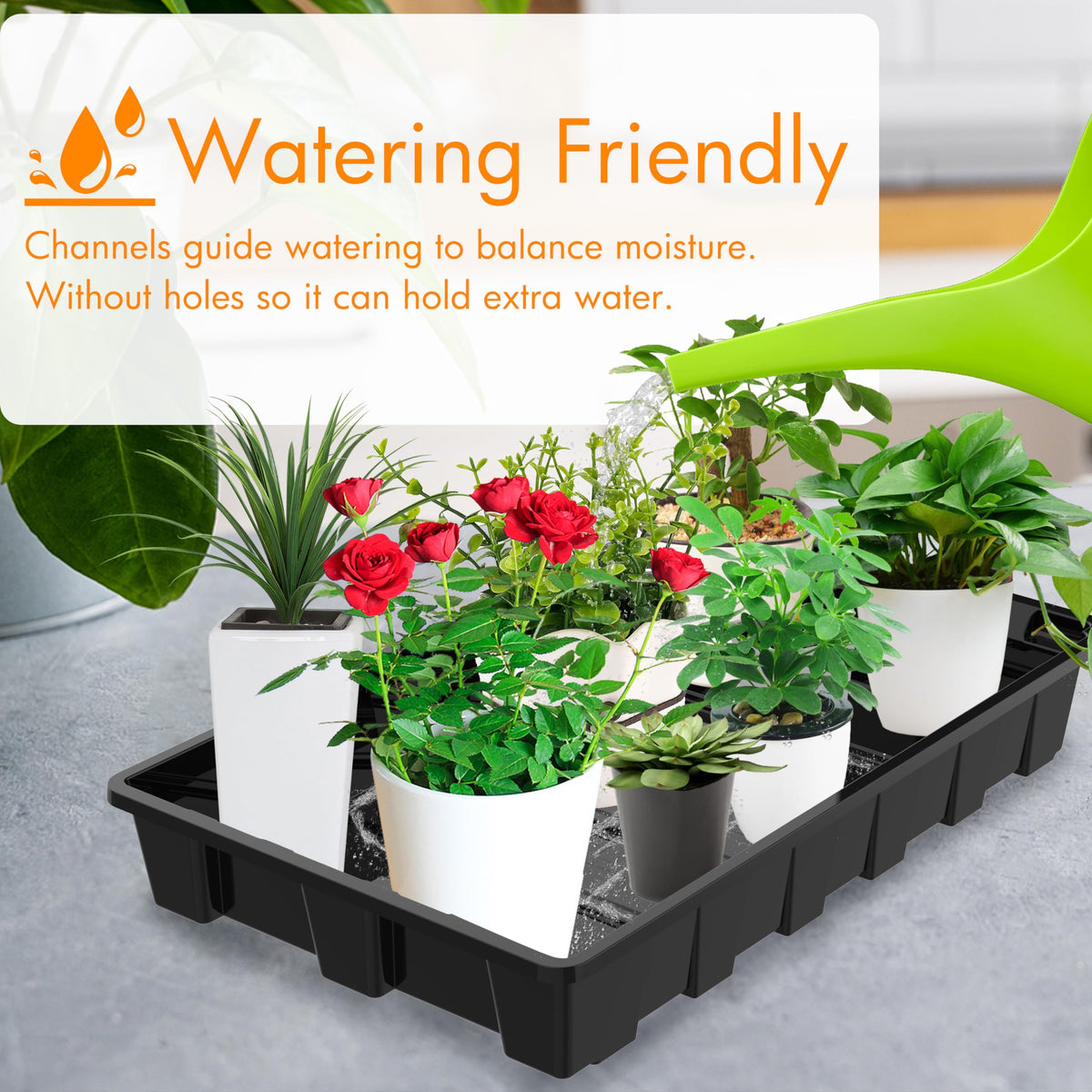 Gardzen 10 Pack Seed Trays, Reusable Plant Grow Trays, Ideal for Seed Starting, Microgreens, Indoor Gardening, and Greenhouse Nurseries - No Drain Holes, 14.5"x9"