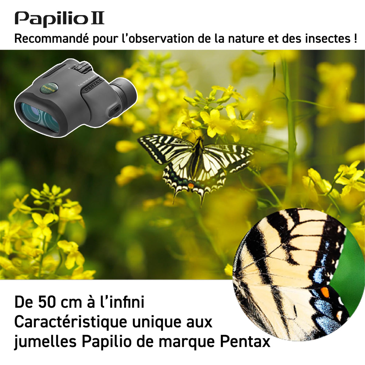 Pentax Papilio II 6.5x21 Binoculars (Gray) Suitable for Watching Objects Both Close-up and far Away