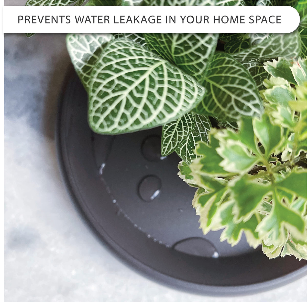 LOOPSEED Plant Saucer 6 Pack Drip Trays Planter Pot Base Heavy Duty Plastic Drainage Tray for Indoor Houseplants Outdoor Garden 5 inch 8 inch 11 inch 3 Sizes 2 Each Round (Brownish Black)