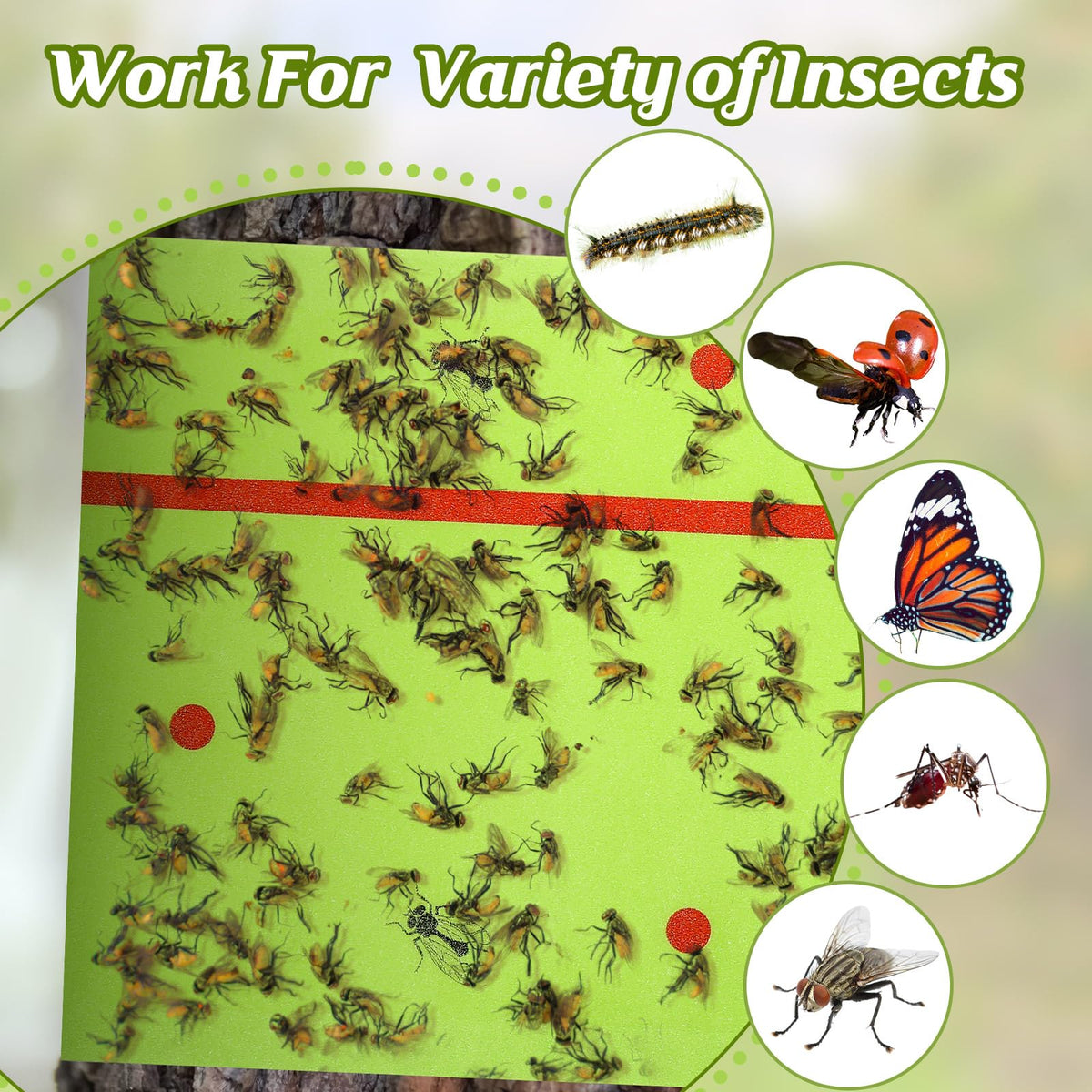 Qualirey 50 Rolls Spotted Lantern Fly Traps 30 Feet Each Roll Fly Tree Trap Sticky Strips Outdoor Fruit Glue Strips Disposable Tape Indoor Paper Sheets for Protecting Trees (Green)
