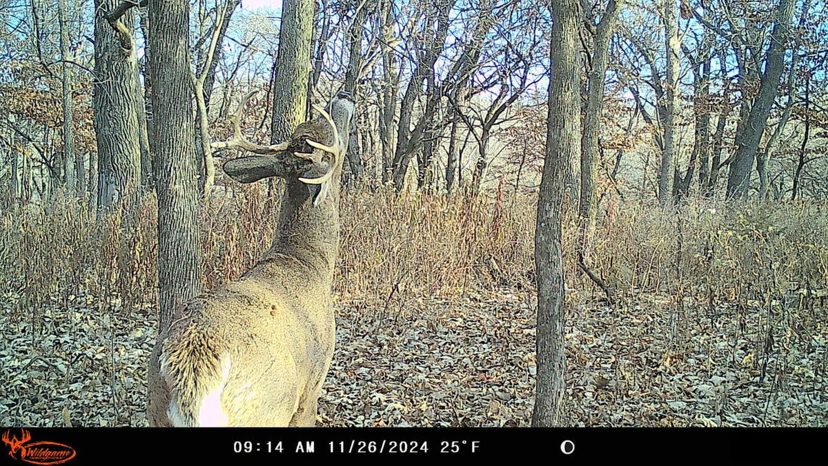 Wildgame Innovations WGI Insite-V 4-Pack Cellular Trail Camera 32 MP, 80ft Detection