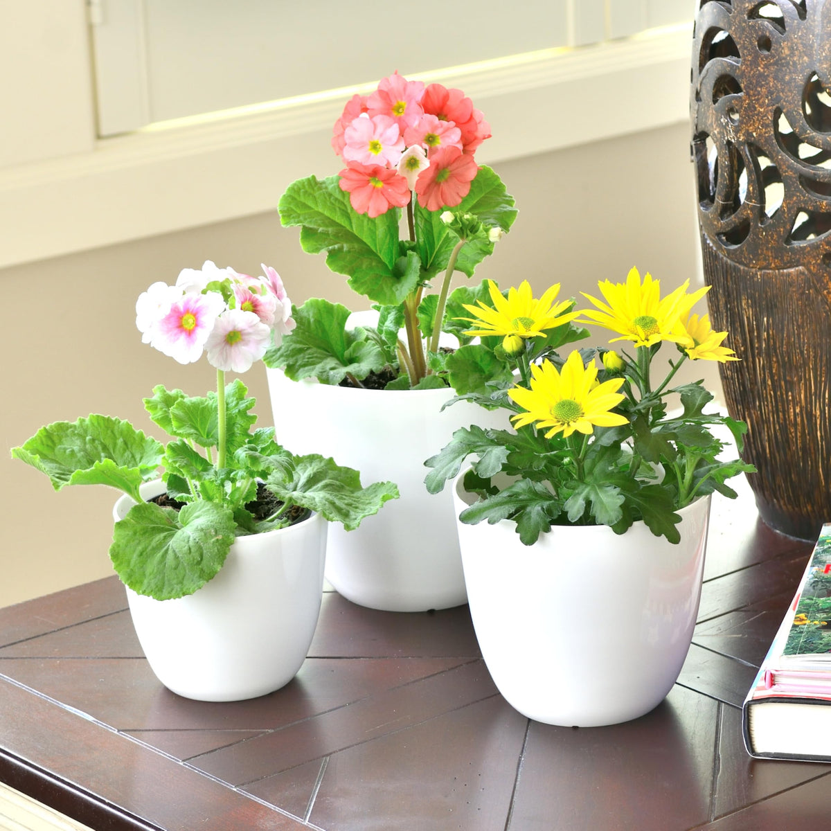 Youngever 6 Pack 4.5 Inch, 5.5 Inch, 6.5 Inch Plastic Planters Indoor Flower Plant Pots Combo (White)