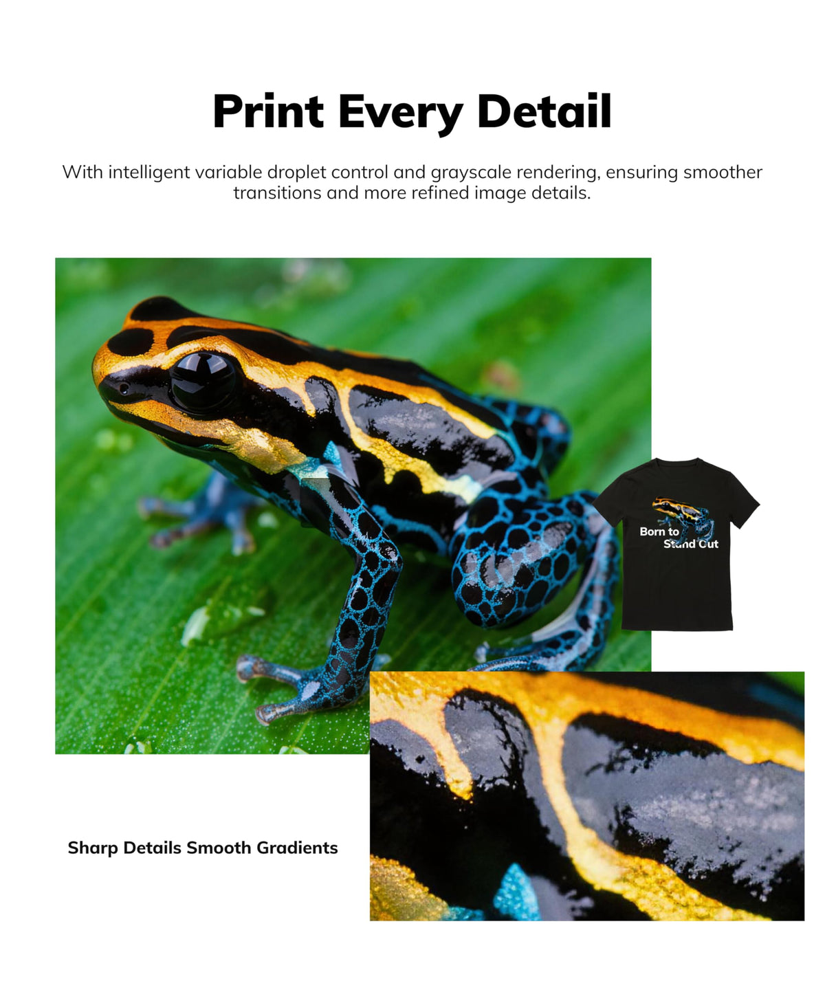 INKSONIC A3+ DTF Printer with F1080 Anti-Clog Printhead, 13" T-Shirt Printer Machine Bundle with Laptop & Supply, 2X Faster Than L1800/R1390, 2026 Upgraded H13 with CISS & 24/7 Auto Maintenance