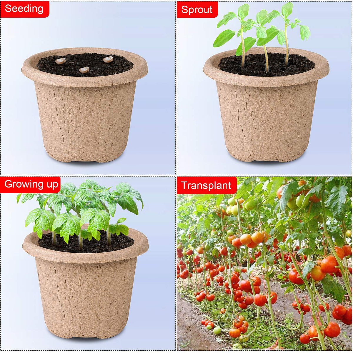 ANGTUO 30 Pcs Peat Pots for Seedlings, 4.33 inch Biodegradable Seed Nursery Pot with Drainage Holes, Seedling Pots Include 20 Labels
