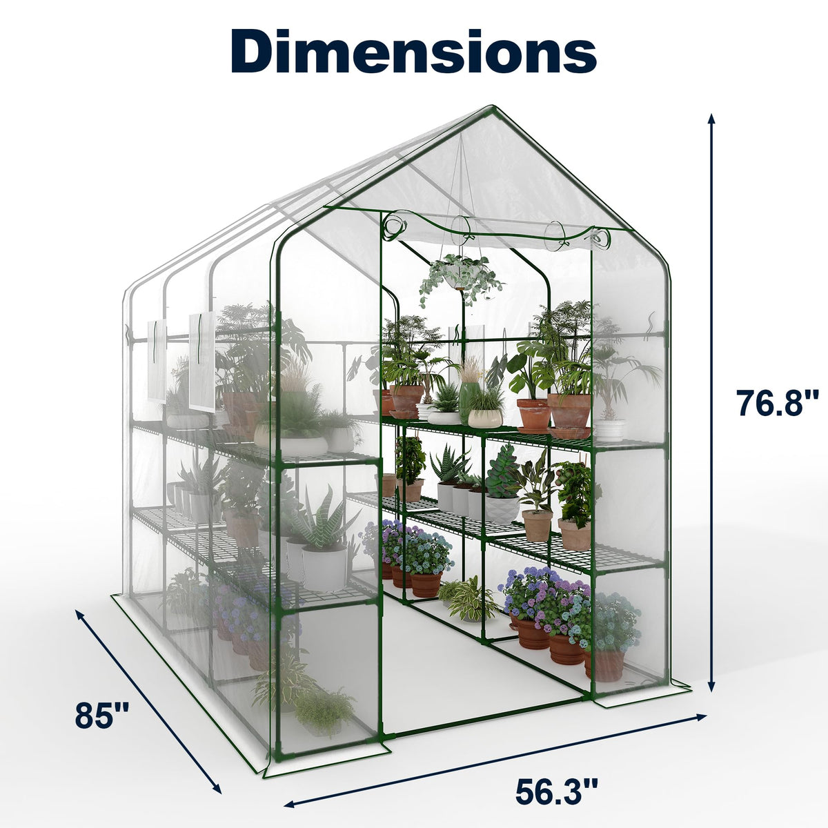 Greenhouse, 57 x 85 x 77'' Greenhouses for Outdoors, with Mesh Side Windows, PE Cover, 8 Shelves, Heavy Duty Walk in Green House for Backyard Garden Indoor, White& Green Outside