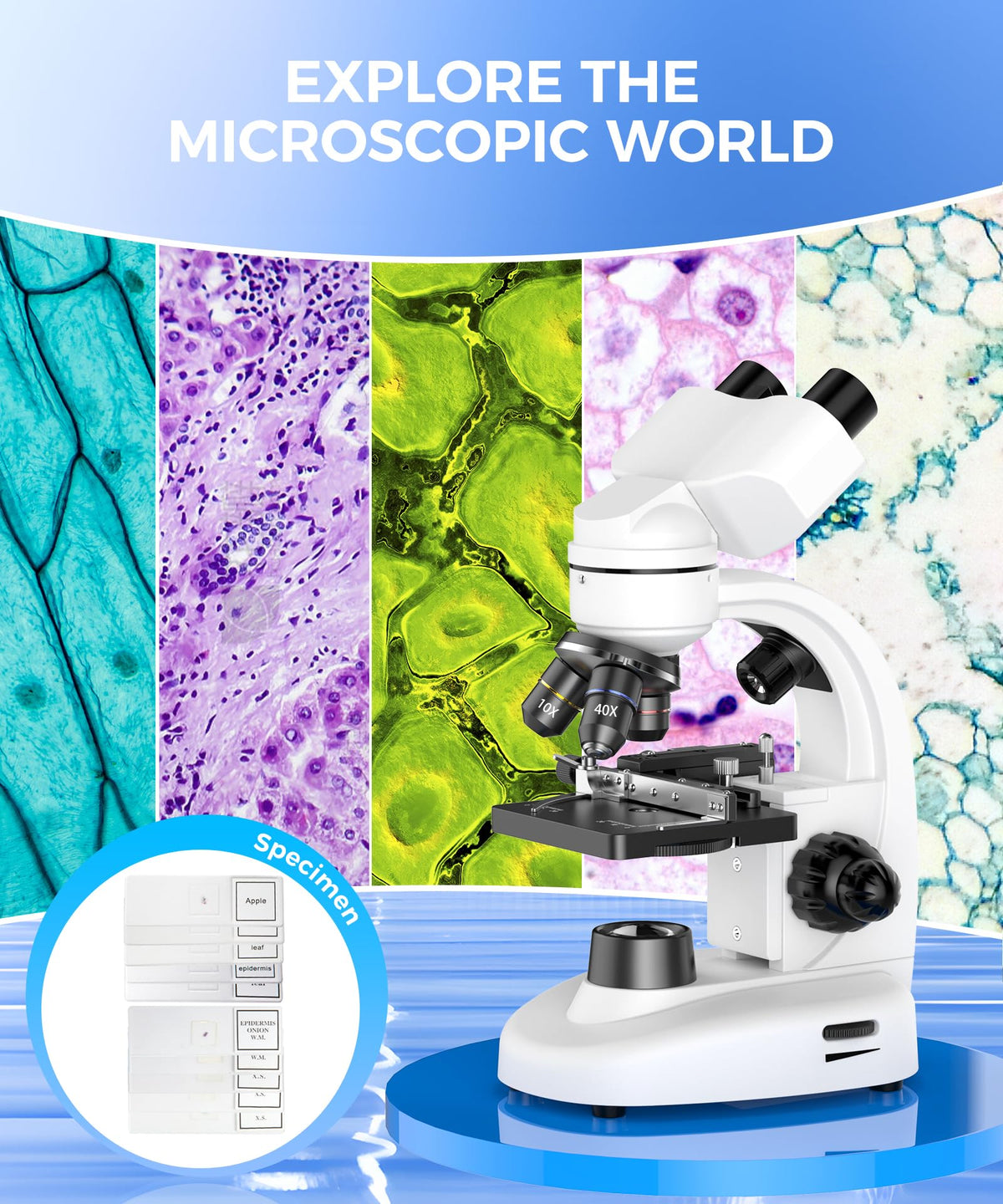 Compound Binocular Microscope for Adults, Professionals & Kids, 40X-2000X Magnification with LED Illumination, Mechanical Stage, WF10x & WF25x Eyepieces，Compatible for Lab, School, Home Education