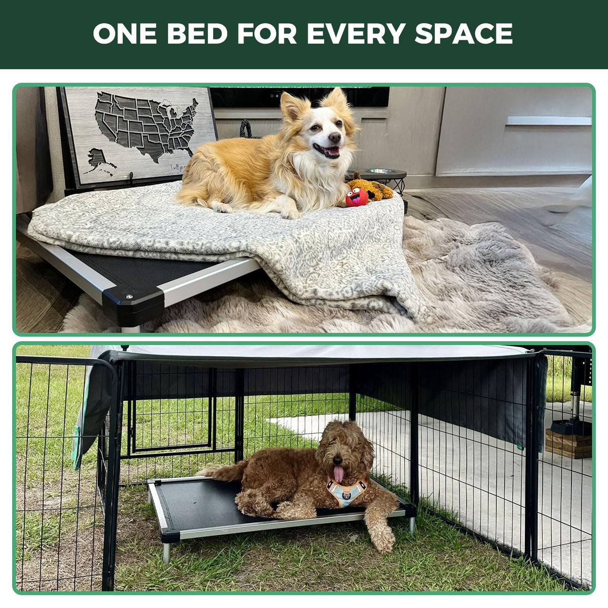 FXW TitanNest Chew-Proof Elevated Dog Bed, Raised Cot for Indoor/Outdoor/Camping Use, Durable & Waterproof Cooling Pet Bed for Extra Large Dogs, 56.0" L x 31.0" W x 7.3" H, Black