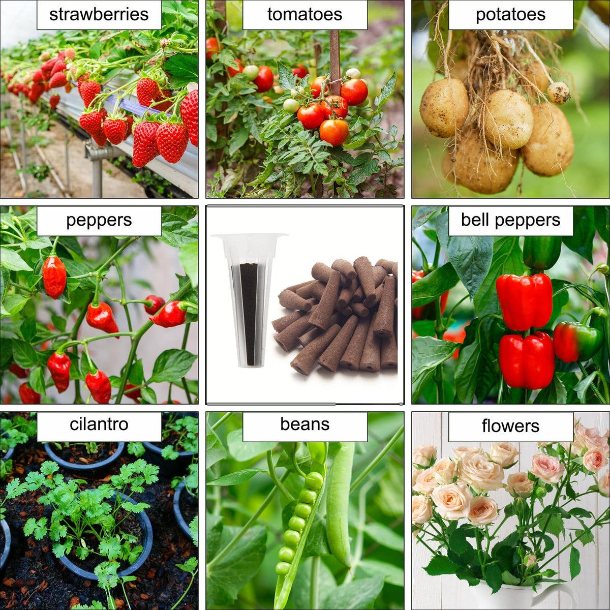 150P Grow Sponges for Hydroponics, Windspeed Grow Anything Seed Pod kit Include 50 Grow Sponges, 24 Grow Baskets, 24 Grow Domes, 50 Pod Labels, 2 Tweezers