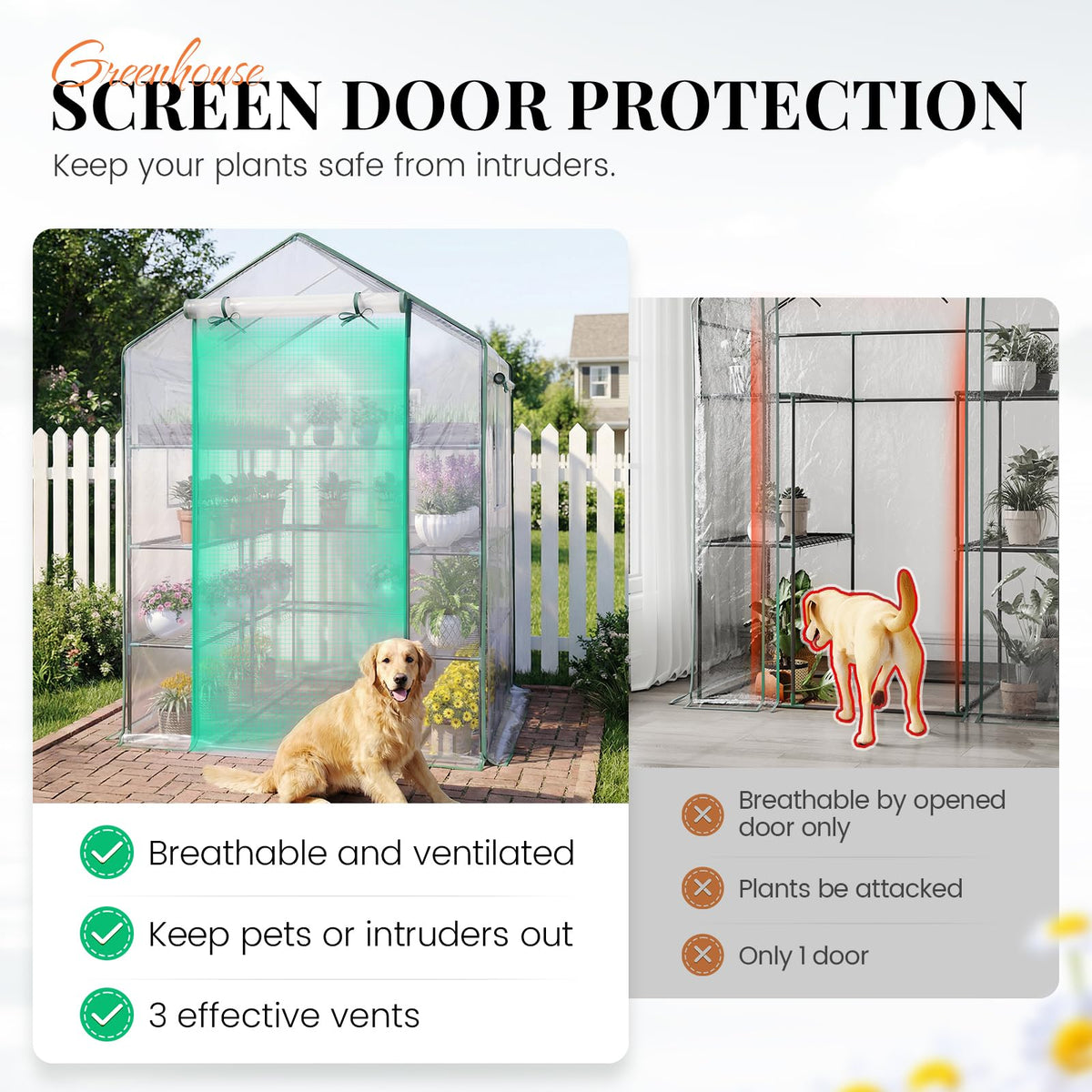KING BIRD Premium Greenhouse for Outdoors, 56x56x77 in Walk-in Hot House with Thickened Cover, Reinforced Frame, Screen Windows & Mesh Door, 4 Tiers 12 Shelves for Outside Garden Seedlings, Clear