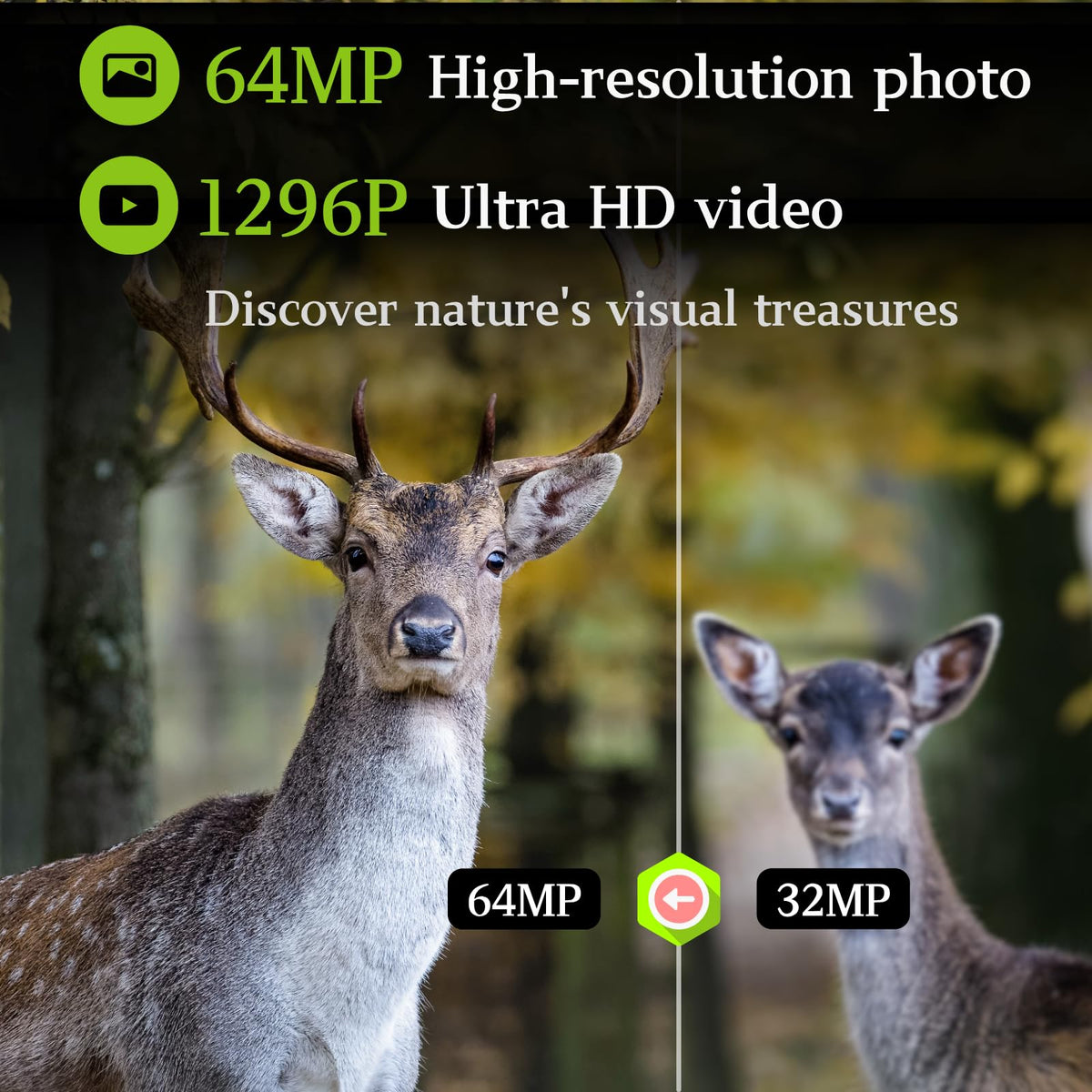 Agitato 2-Pack Trail Camera 64MP 1296P H.264 MP4 Video No Glow 90ft Night Vision 0.1S Trigger Speed Motion Activated Waterproof IP66 Game Cam for Wildlife Hunting or Home Surveillance